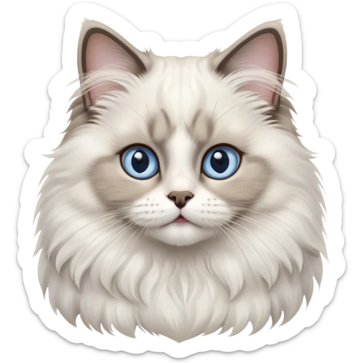 cinematic-adorable-big-eyed-fluffy-ragdoll-cat-portrait-emoji,-head-tilted-playfully-with-a-sweet-expression,-fluffy-white and grey-fur,-simplified-yet-irresistibly-cute-features-with-large,-expression, blue eyed ragdoll cat sticker