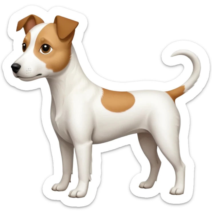 a full body slightly chubby white parson russell terrier looking dog the size of a kelpie with light brown long ears and a light brown patch on one eye and a large snout. the rest of the dog is completely whiteforward facing sticker