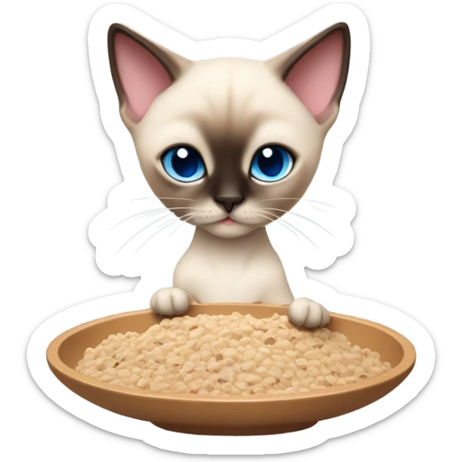 Small boy Siamese cat who is cream color with some brown and blue eyes eating dry food in a pink slow feeder bowl sticker