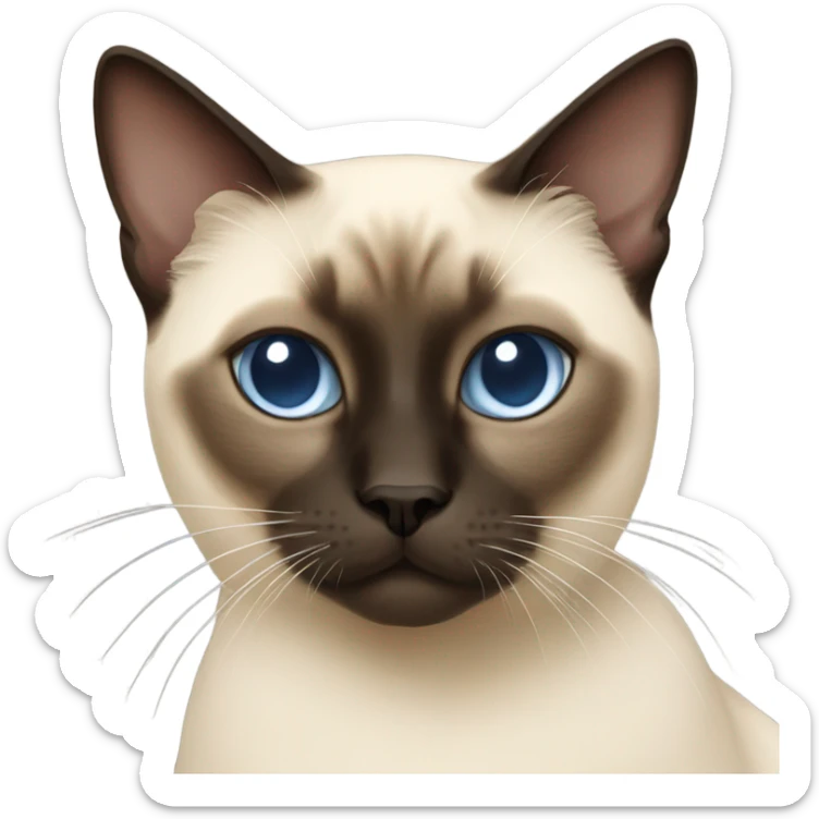 siamese cat sticker