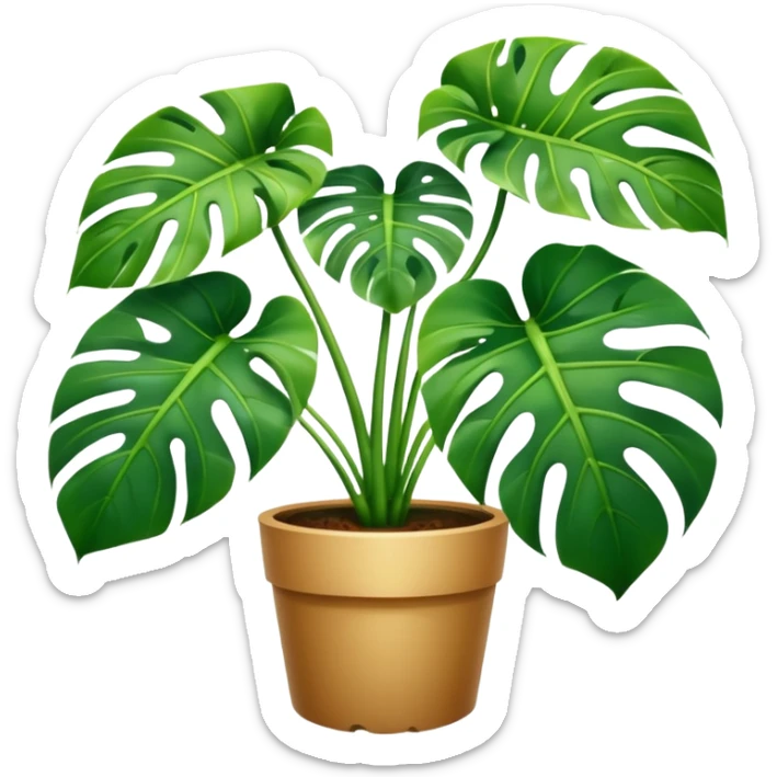 Monstera sticker