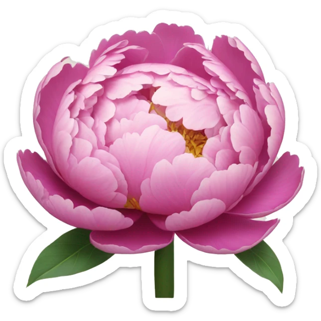 Peony sticker