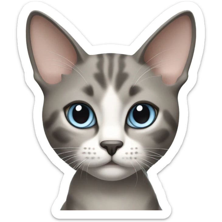 Thai breed cat with a warm cream body, dark gray face, ears, and paws. Short fur, sharp ears, and striking light blue eyes with an intense gaze. sticker