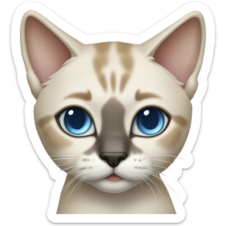 Thai breed cat with a light cream-brown body, dark gray nose and face, ears, and paws. sharp ears, and striking light blue eyes  sticker
