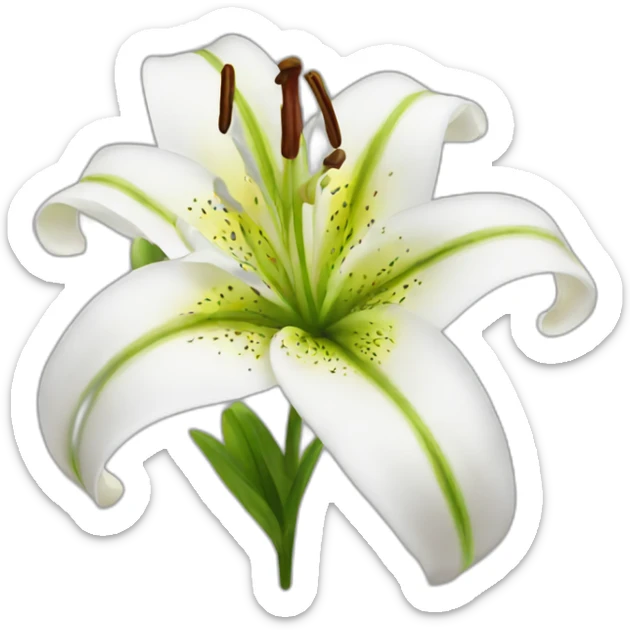 lily sticker