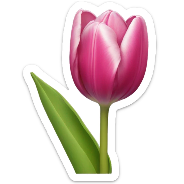 Tulip sticker