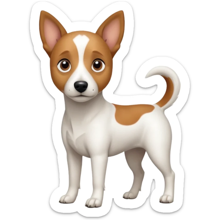 a full body white jack russel looking dog the size of a kelpie with light brown ears and a light brown patch on one eye and a large snout sticker