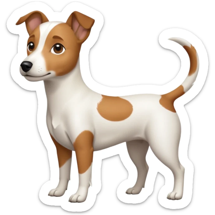 a full body white jack russel looking dog the size of a kelpie with light brown ears and a light brown patch on one eye, flopped down ears and a large snout sticker