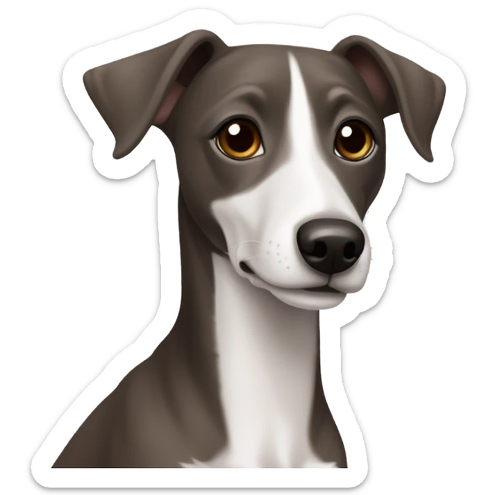 Dark Grey brown Formosa mountain dog and Italian greyhound mix no white on the face, dark brown eyes, ears up sticker
