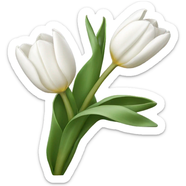 White tulips  sticker