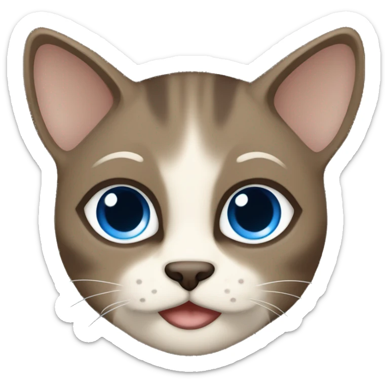 Dark Brown face - beige body and ears female siamise cat with blue eyes  sticker