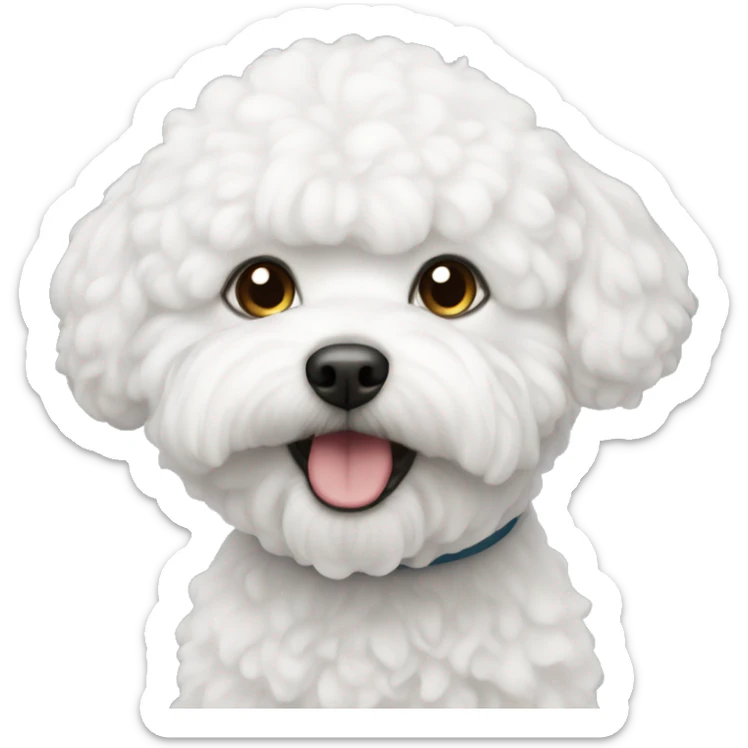 Bichon  sticker