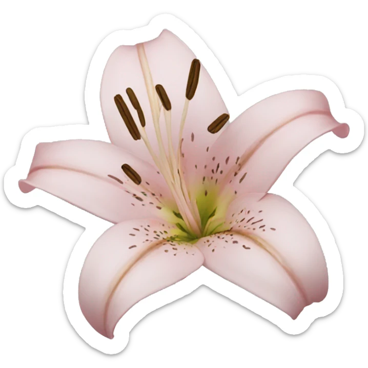 Lilies  sticker