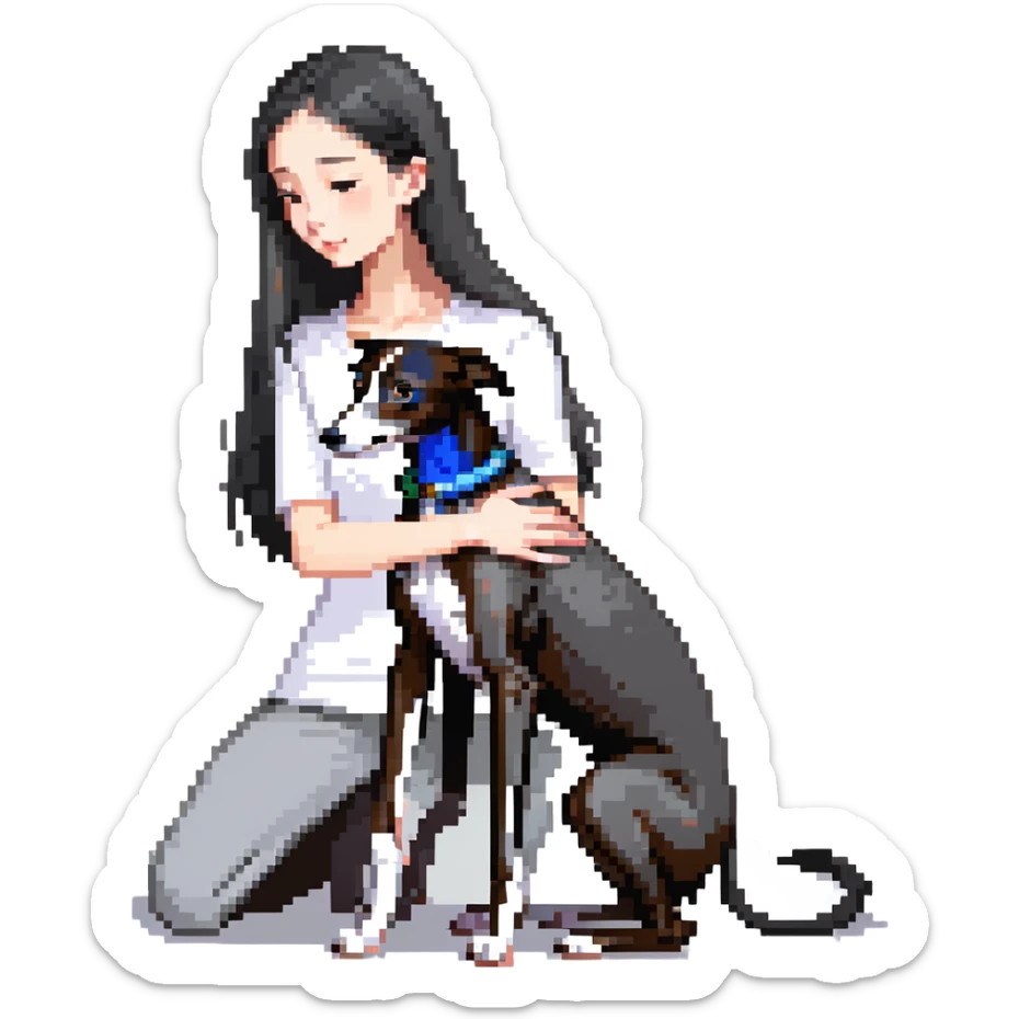 Slim Chinese girl with long black hair petting an Italian greyhound with completely uniform solid grey color throughout its entire body and face, with no white markings anywhere sticker