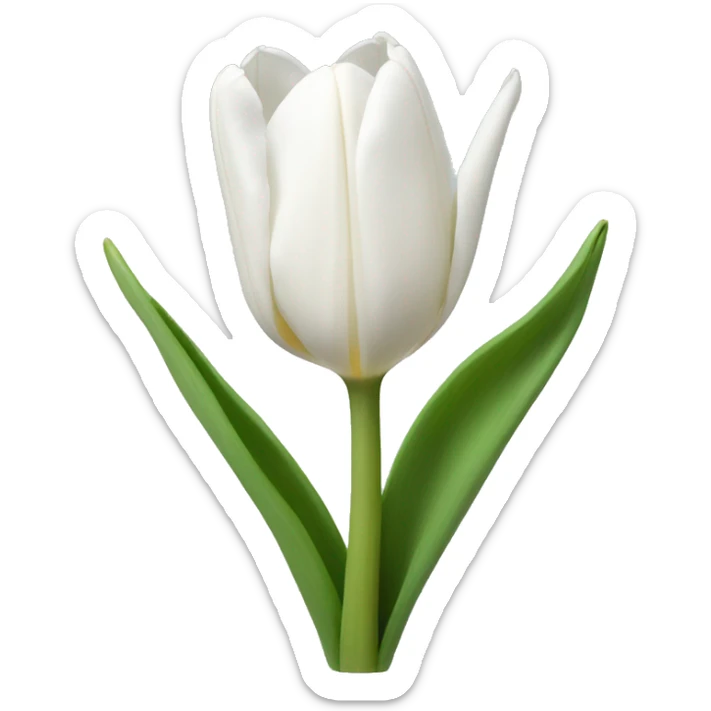white tulips sticker