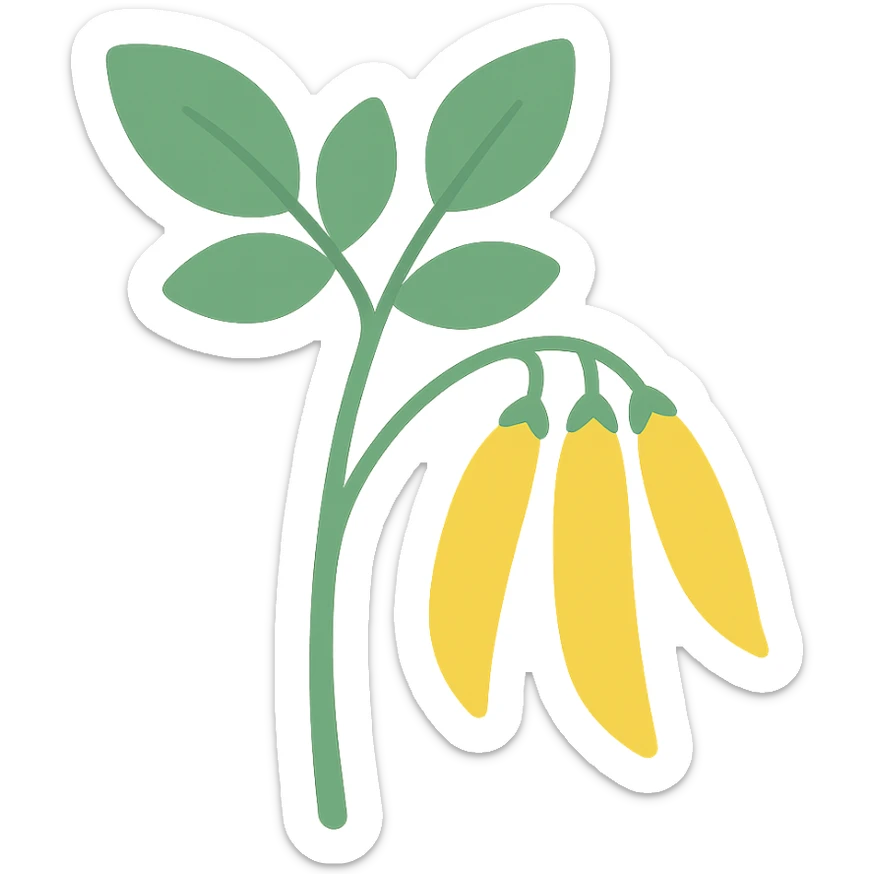 colored icon of a pigeonpea plant with green leaves and yellow pods sticker