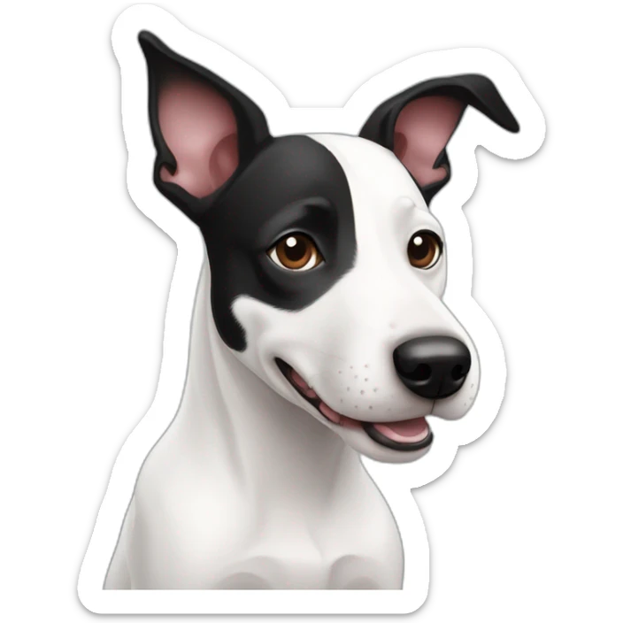 Black and white mix of a jack russel and a bullterrier with raised ears sticker
