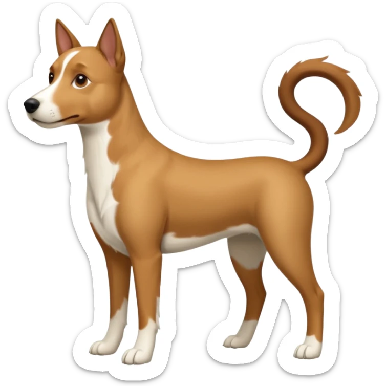 a full body white parsel russell looking dog the size of a kelpie with light brown ears and a light brown patch on one eye and a large snout sticker