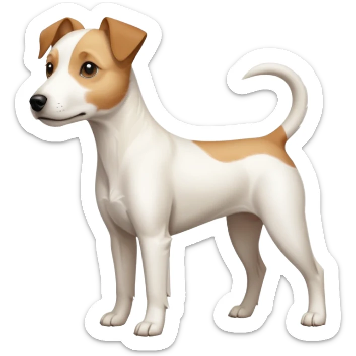 a full body buff white parson russell terrier looking dog the size of a kelpie with light brown long ears and a light brown patch on one eye and a large snout. the rest of the dog is completely white. forward facing sticker