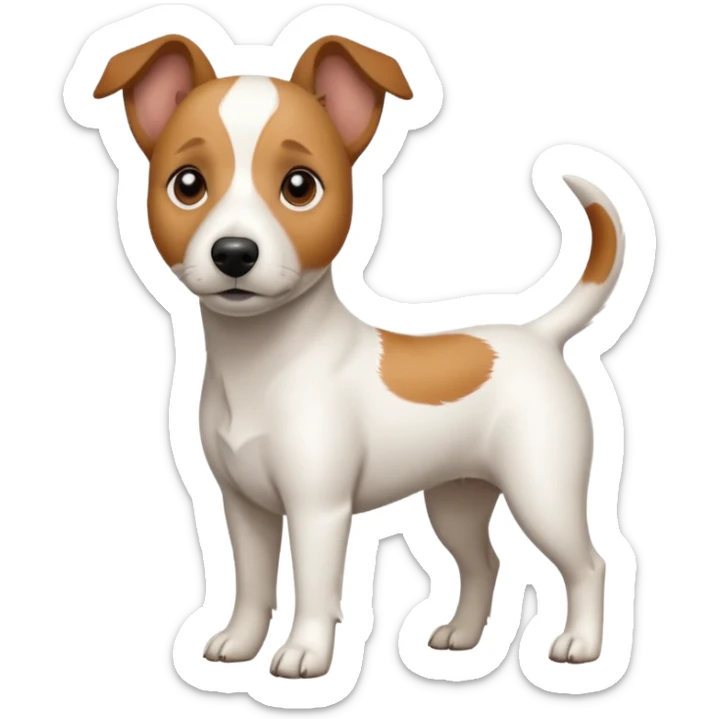 a full body white jack russel looking dog the size of a kelpie with light brown ears and a light brown patch on one eye and a large snout sticker