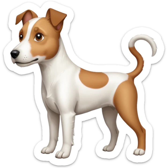 a full body large white parson russell terrier looking dog the size of a kelpie with light brown big ears and a light brown patch on one eye and a large snout sticker