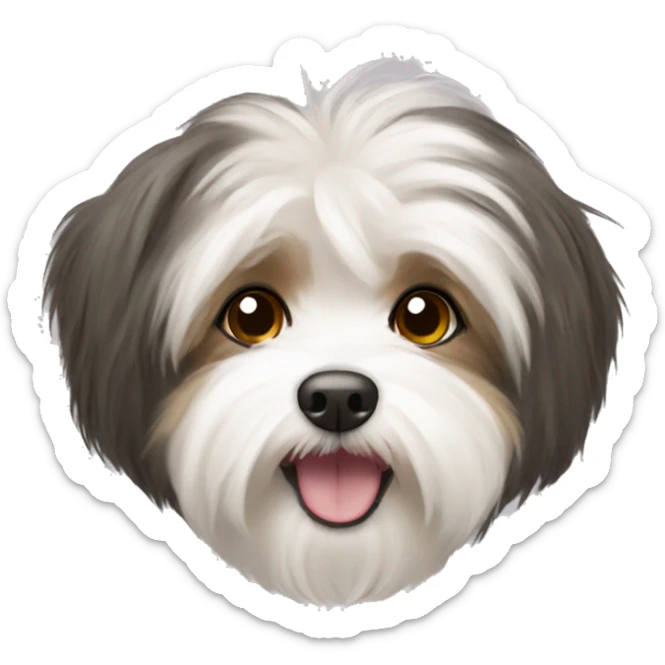 Havanese sticker