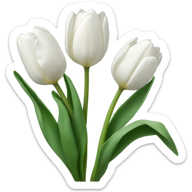 White tulips sticker