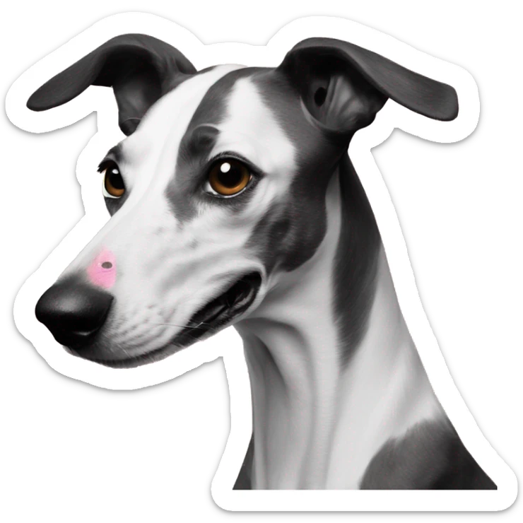 Dog galgo black and white and a pink noise sticker