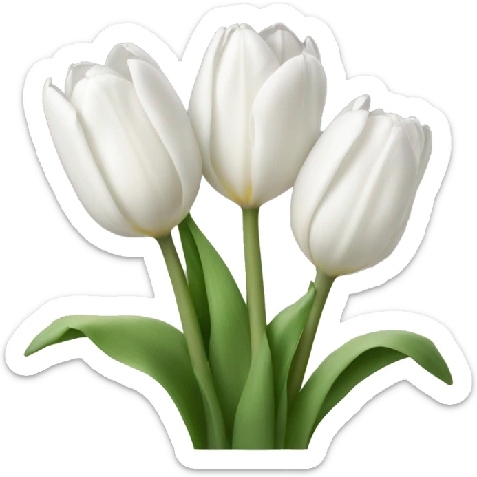 white tulips sticker