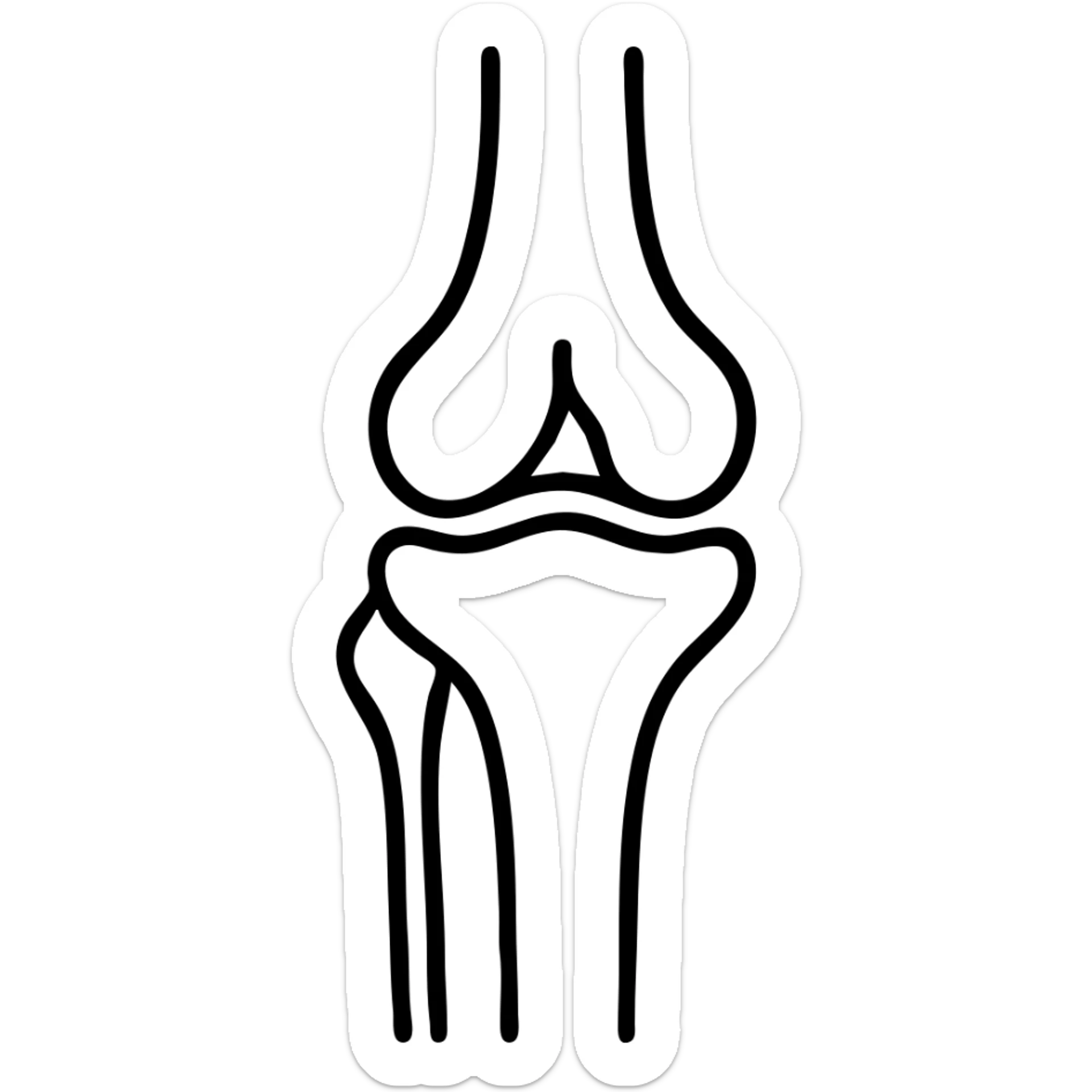 detailed medical illustration of knee bones and joint anatomy sticker