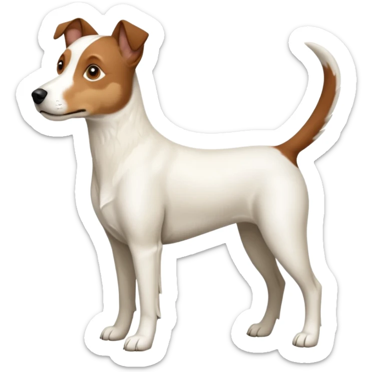 a full body large white parson russell looking dog the size of a kelpie with light brown ears and a light brown patch on one eye and a large snout sticker