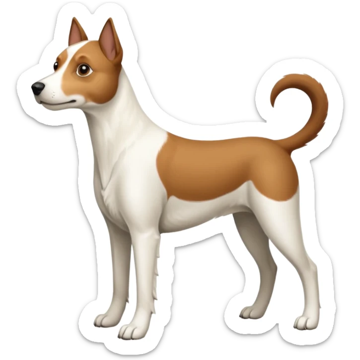 a full body white parson russell looking dog the size of a kelpie with light brown ears and a light brown patch on one eye and a large snout sticker