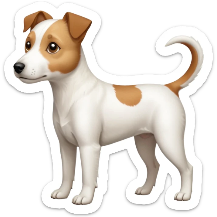 a full body slightly chubby white parson russell terrier looking dog the size of a kelpie with light brown long ears and a light brown patch on one eye and a large snout. the rest of the dog is completely white sticker
