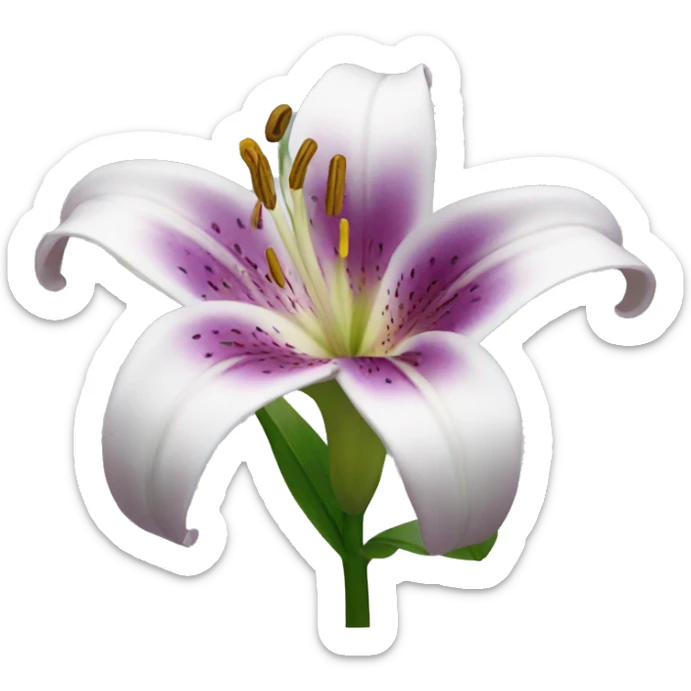 lily flower sticker