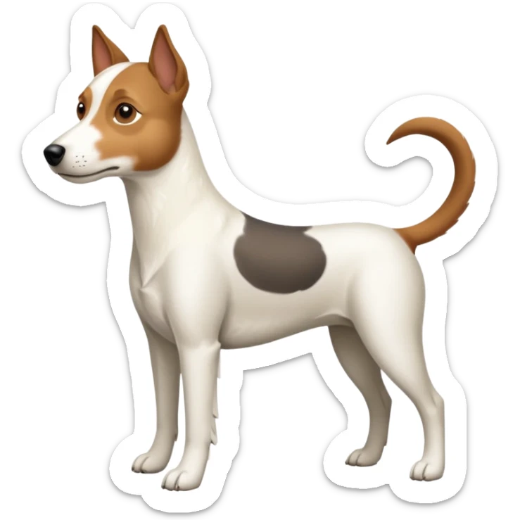a full body large white parson russell looking dog the size of a kelpie with light brown ears and a light brown patch on one eye and a large snout sticker
