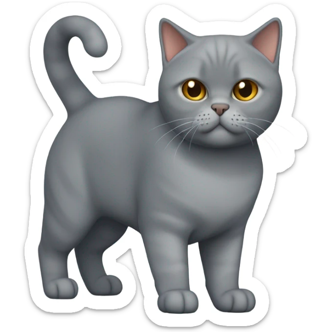 british shorthair sticker