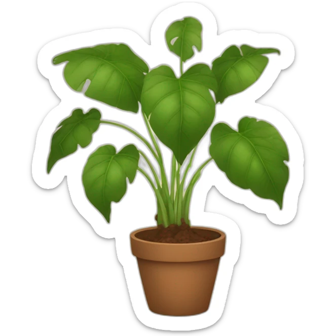 plant with lots of big stems and big leaves in a brown flower pot sticker