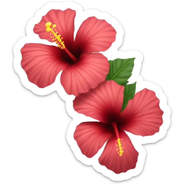 Hibiscus Flower sticker