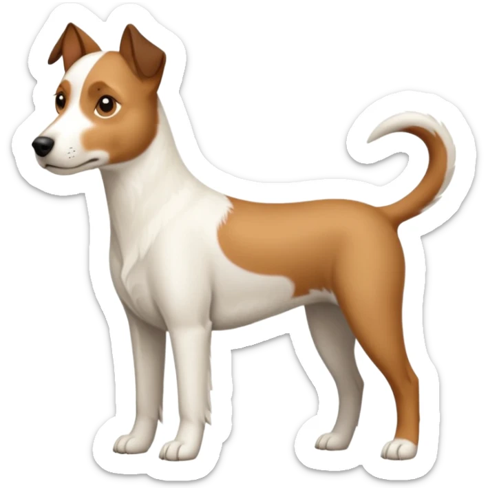 a full body large white parson russell looking dog the size of a kelpie with light brown ears and a light brown patch on one eye and a large snout sticker