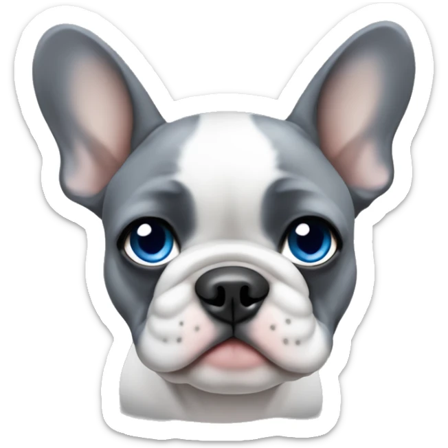 Gray French Bulldog puppy with blue eyes and a white patch on his chest sticker