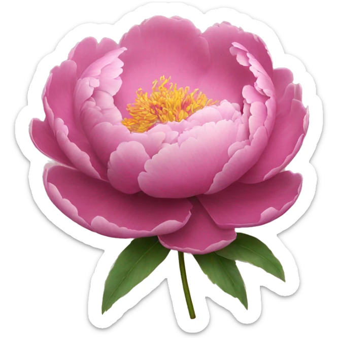Peony sticker