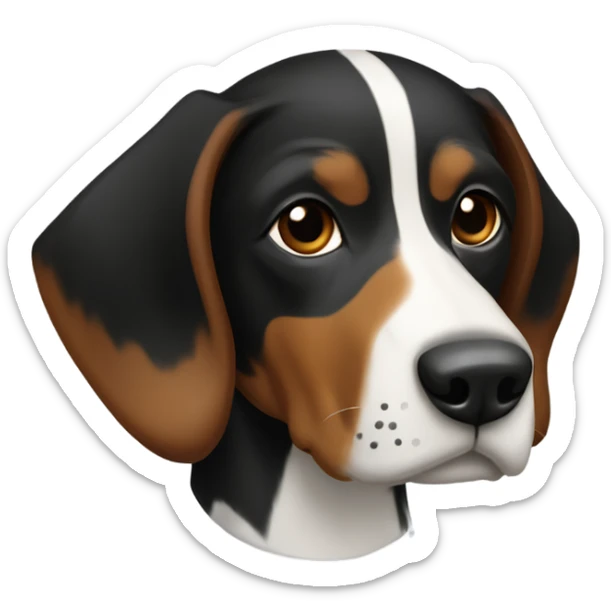 Dog Appenzeller Viszla Mix, Color: black & brown with only one little white dot on the chest sticker