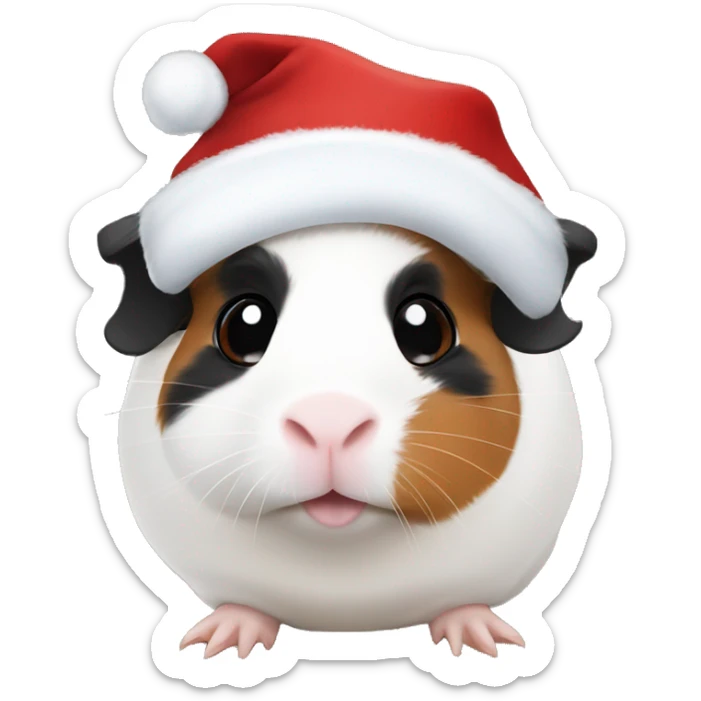 White Guinea pig with black on one eye and brown on the other eye with Christmas hat sticker