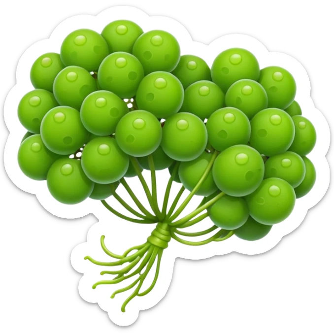 Sea grapes (Caulerpa lentillifera) with an elongated, cylindrical shape, made of many tiny translucent green bead-like bubbles,  much smaller than real grapes, clustered tightly along a thin stem, glossy and fresh, emoji-style illustration, simplified shape, clean outline, cute and minimal sticker