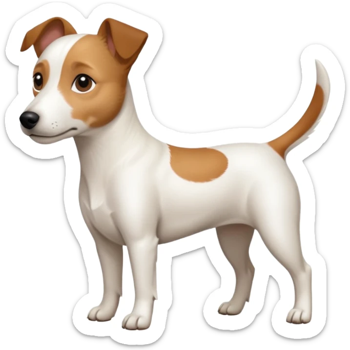 a full body white jack russel looking dog the size of a kelpie with light brown ears and a light brown patch on one eye and a large snout sticker