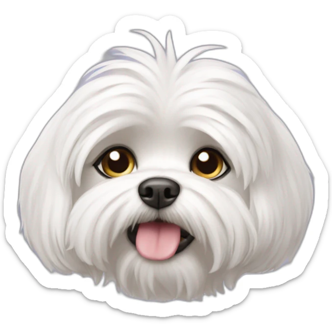 Maltese dog sticker
