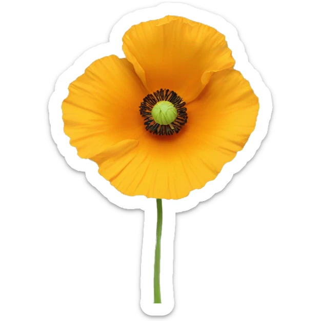 a yellow poppy flower with an orange hue in the middle of it  sticker