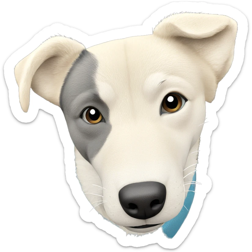 shiba inu gazing at viewer sticker