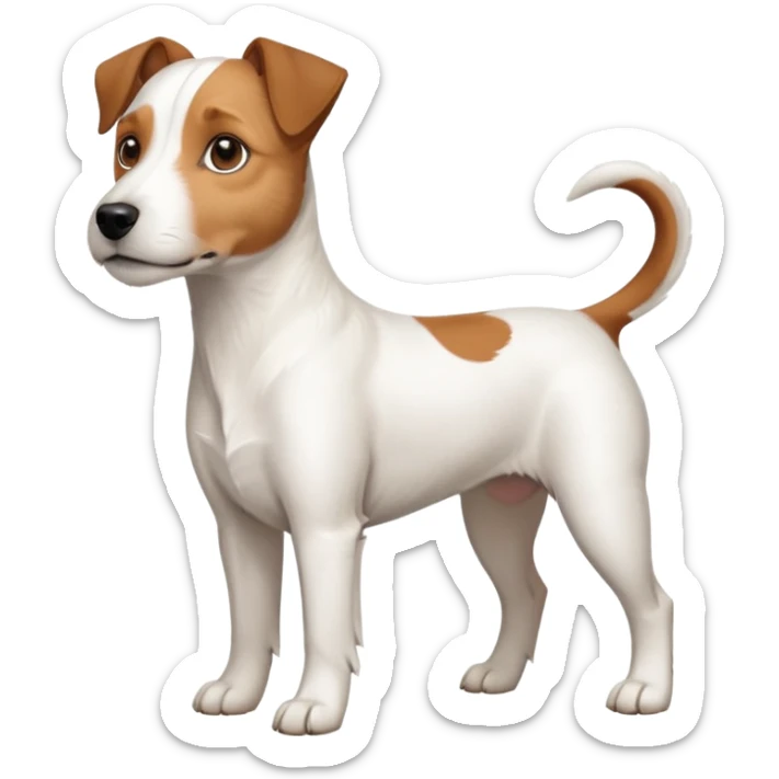 a full body large white parson russell looking dog the size of a kelpie with light brown ears and a light brown patch on one eye and a large snout sticker