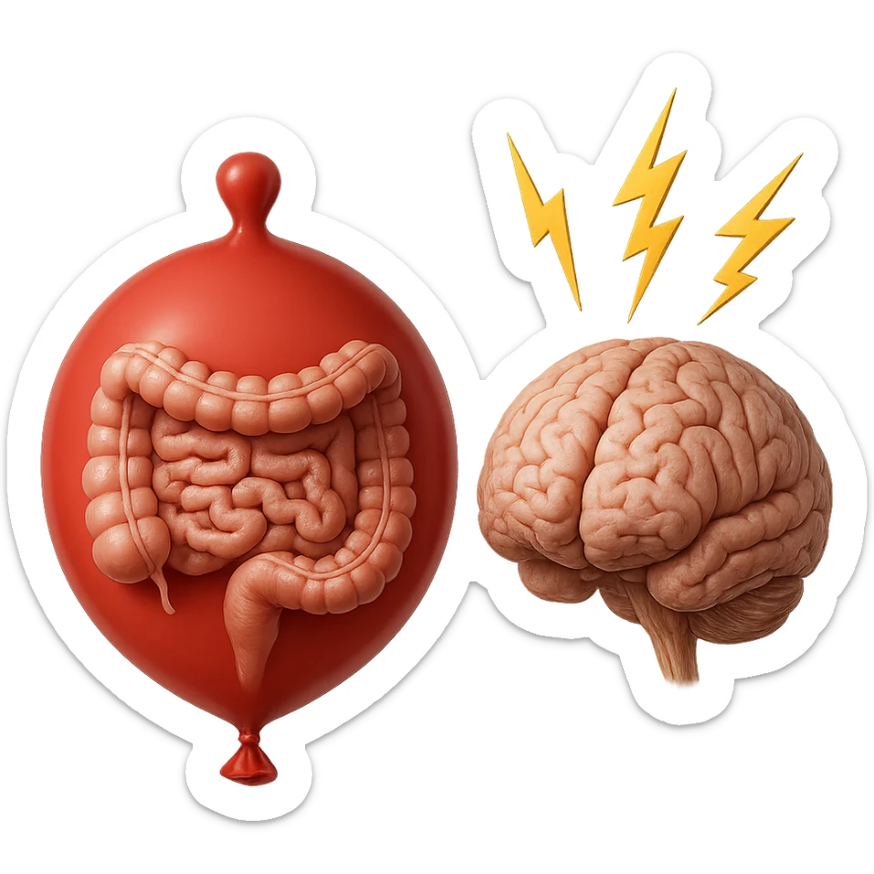 intestino umano anatomico chiuso in un palloncino rosso che simboleggia gonfiore, accanto un cervello anatomico con fulmini vicino che simboleggiano "stress", iperrealistico 4k sticker